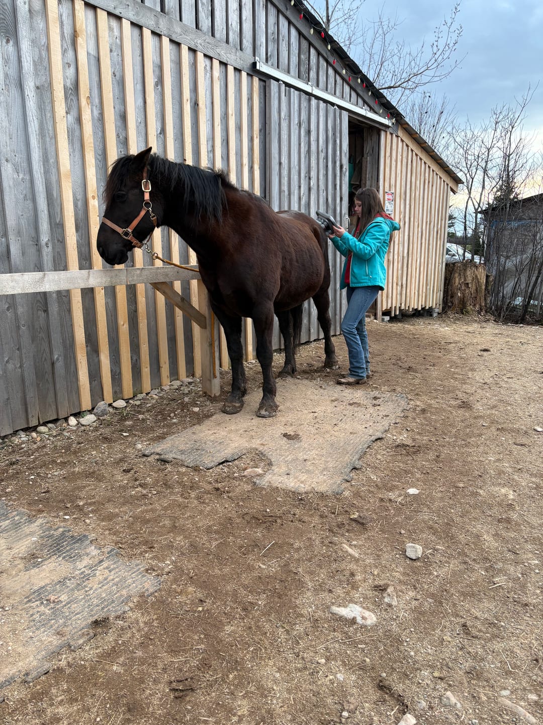 Customer review photo